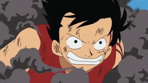 One Piece: 1×29