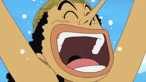 One Piece: 1×9