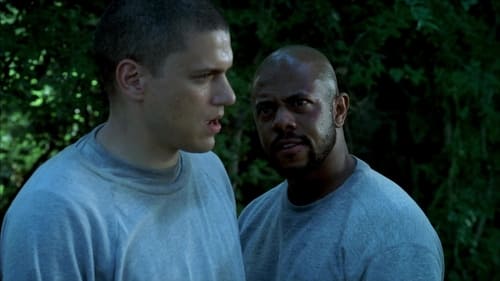 Prison Break: 2×1