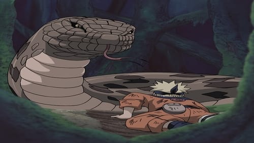 Naruto: 1×28