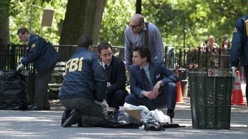 White Collar: 2×4